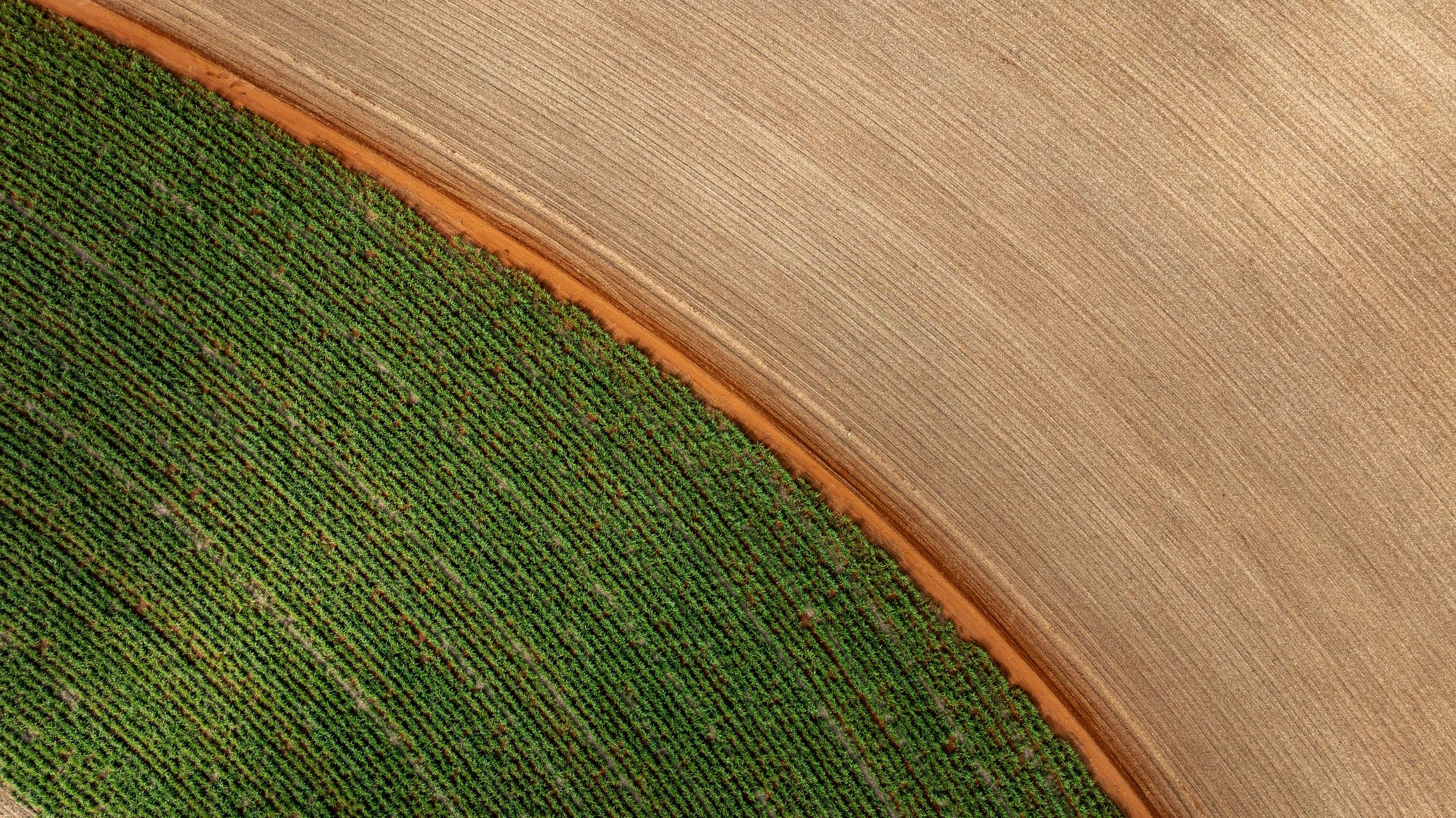 Feature 3 image